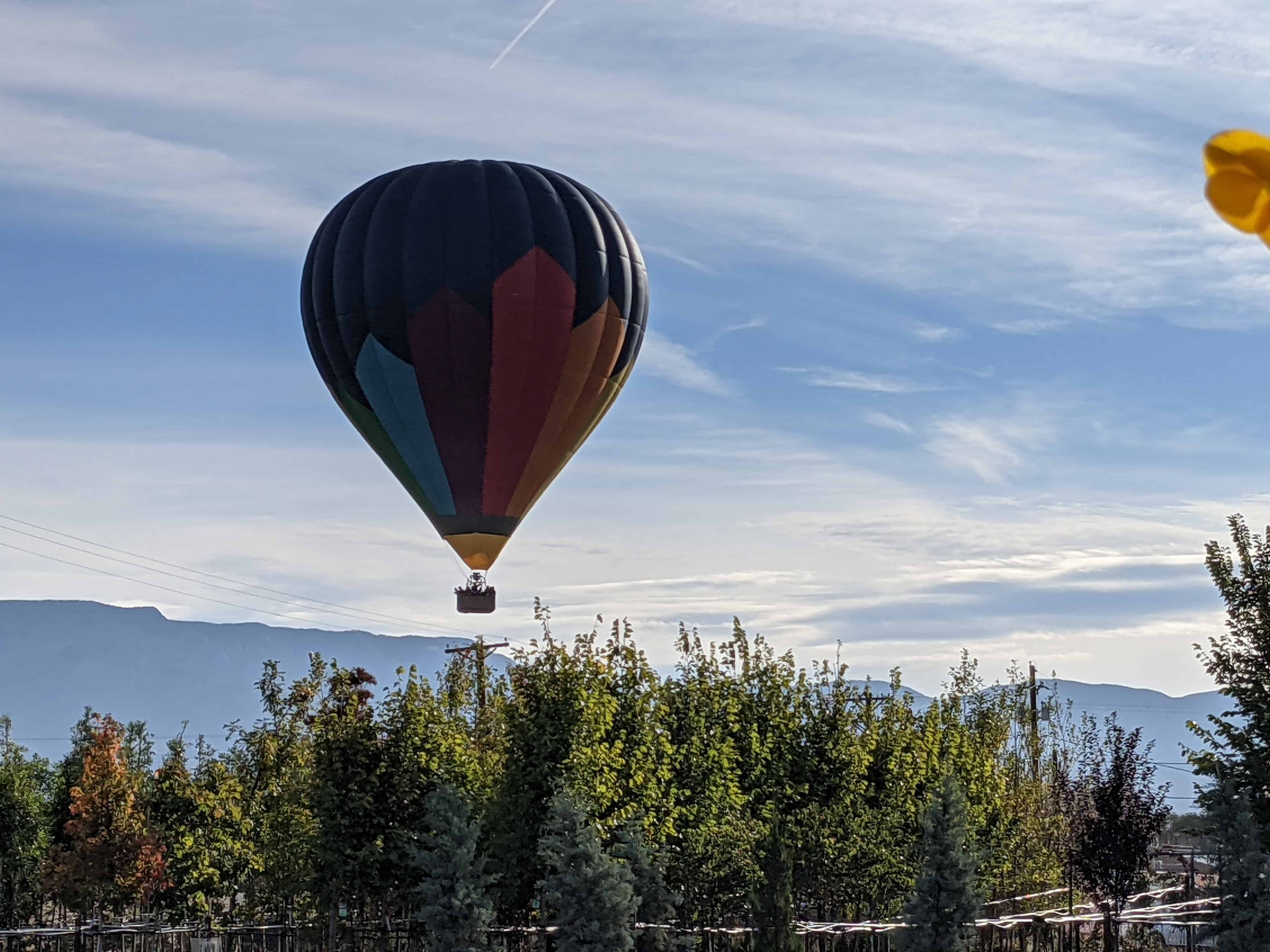 to the Best Albuquerque Nursery! Blog Arbor Valley Nursery